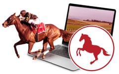 apuestas para caballos