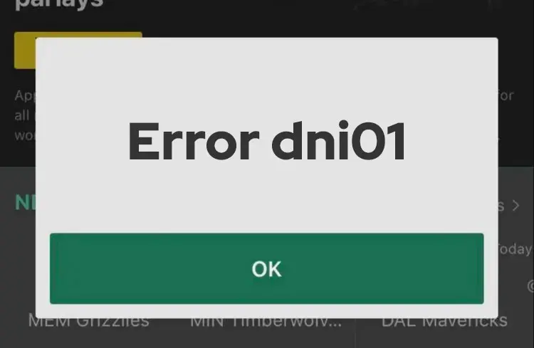 bet365 error dni01